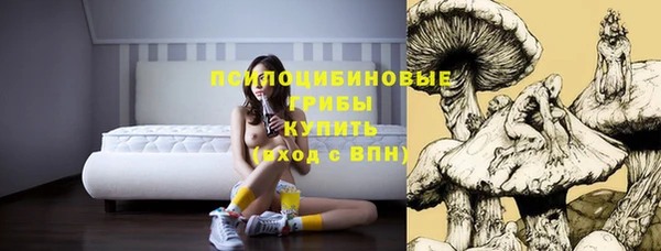 mdma Краснослободск
