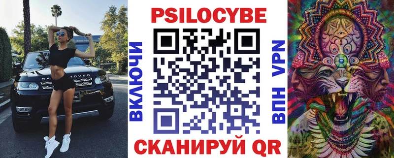 Купить  Георгиевск  Галлюциногенные грибы Psilocybine cubensis 