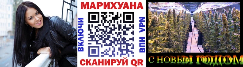 Шишки марихуана план  Купить  Георгиевск 